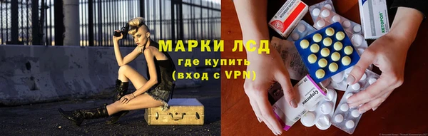 мет Касимов