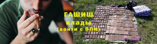 трава Карпинск