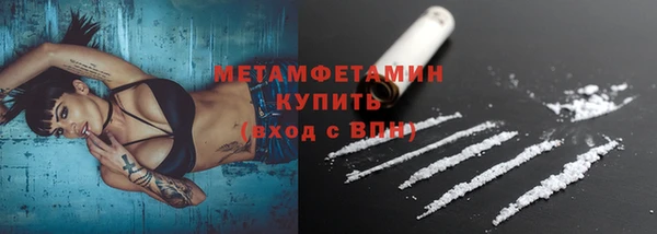 трава Карпинск