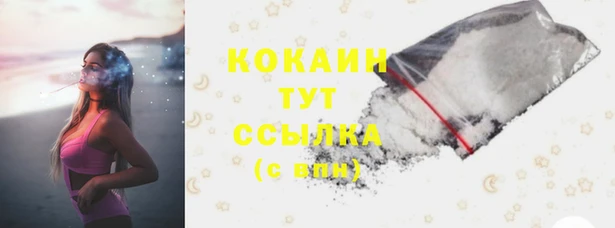 трава Карпинск