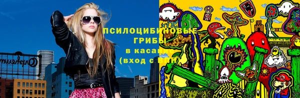 гашик Карталы