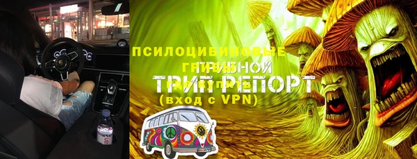 трава Карпинск