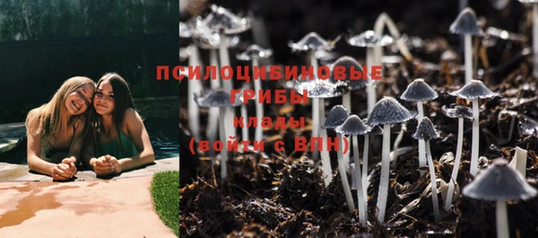 мет Касимов
