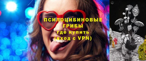 гашик Карталы