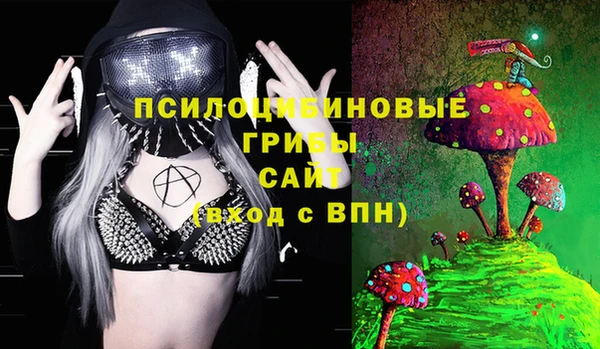 мет Касимов