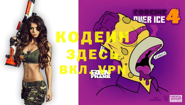 гашик Карталы