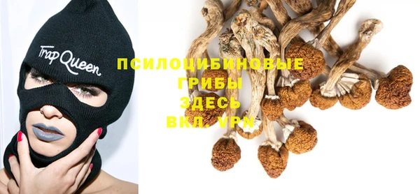 трава Карпинск