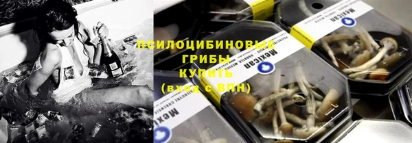 мет Касимов