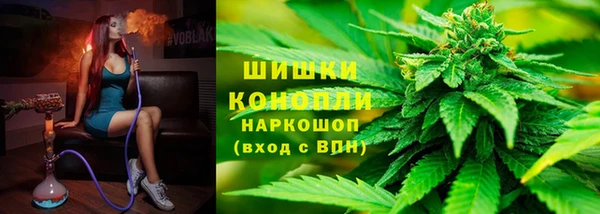 трава Карпинск